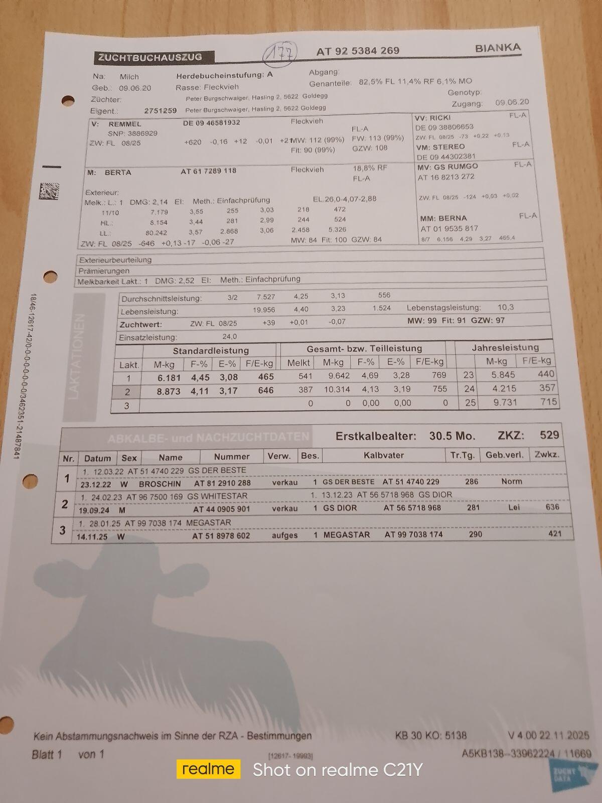 BIO FL Kuhkalb zu verkaufen 3