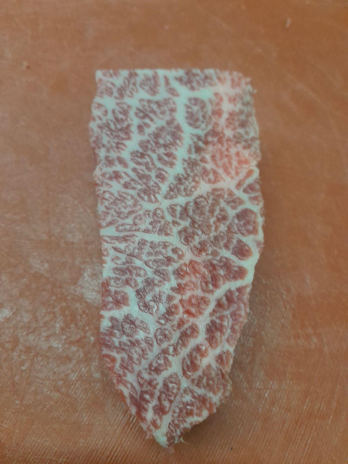 Fullblood Wagyu Kalbin trächtig 3