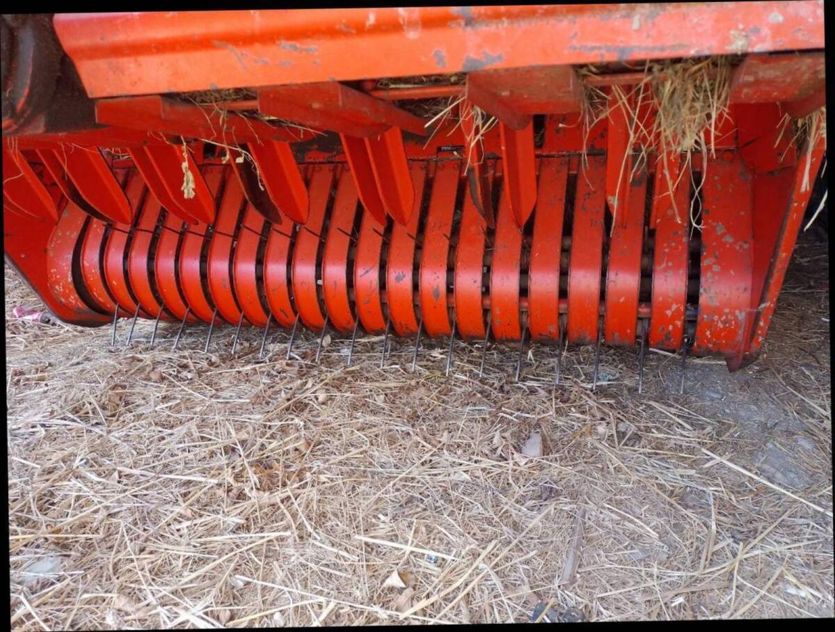 Ladewagen Bevilacqua 2