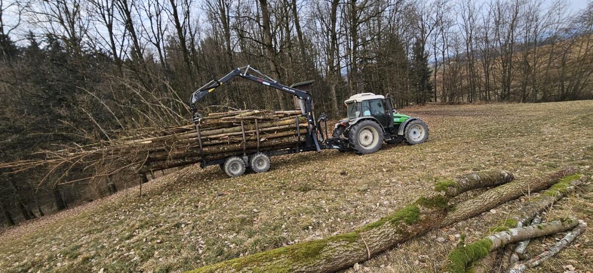 Ich biete meine Mithilfe bei der Hofarbeit an 3