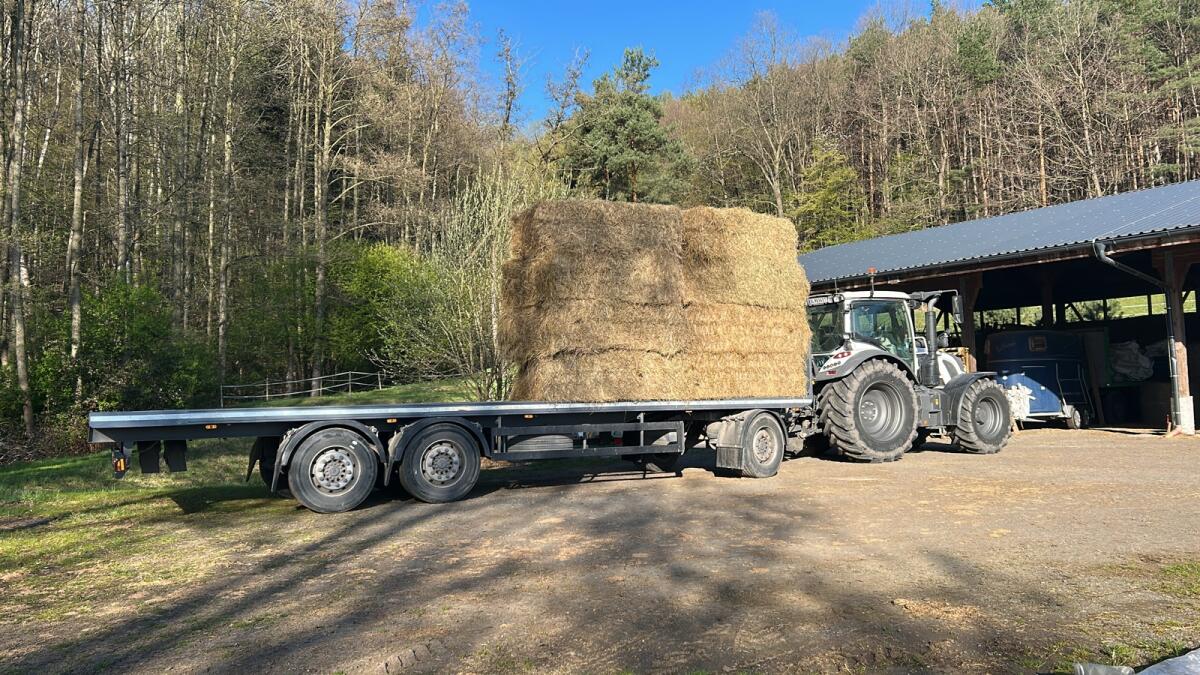 Tausche Heu gegen Stroh 3