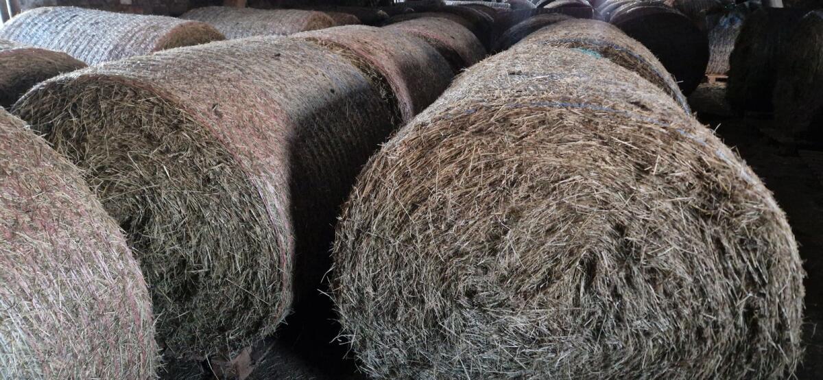 Heu, Grummet und Strohballen 2