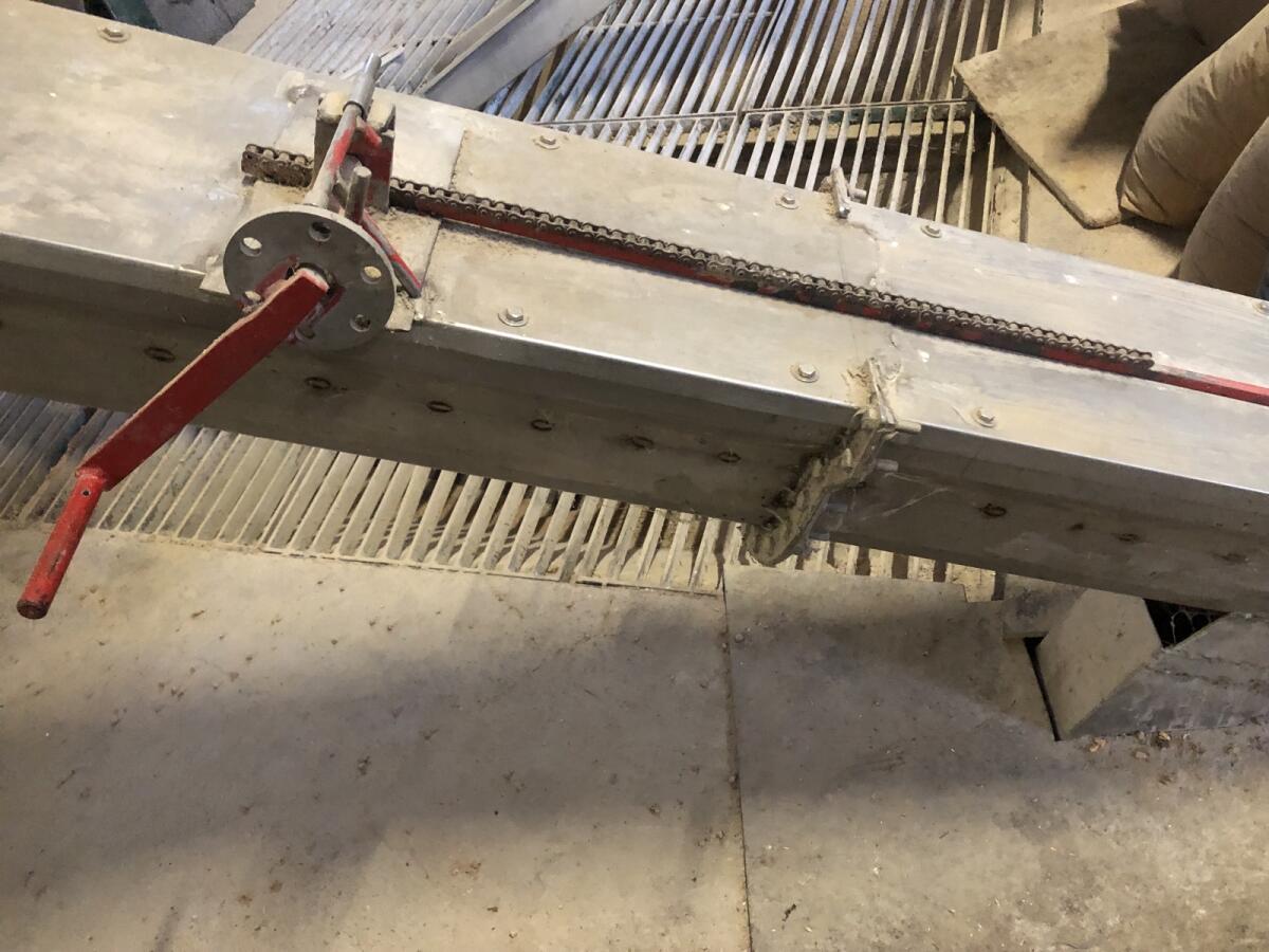 Trogschnecke Edelstahl 2