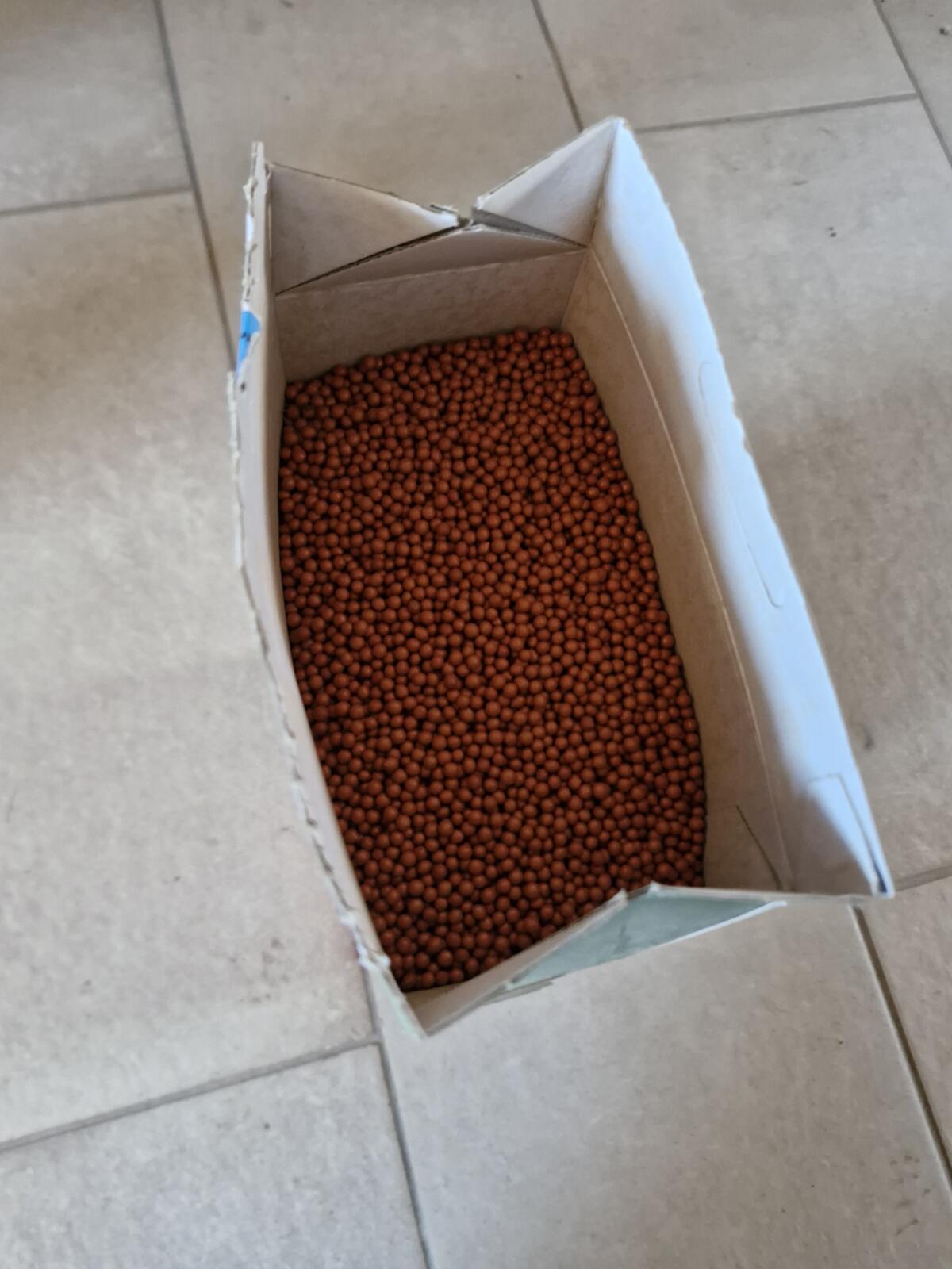 Zuckerrübensaatgut 2