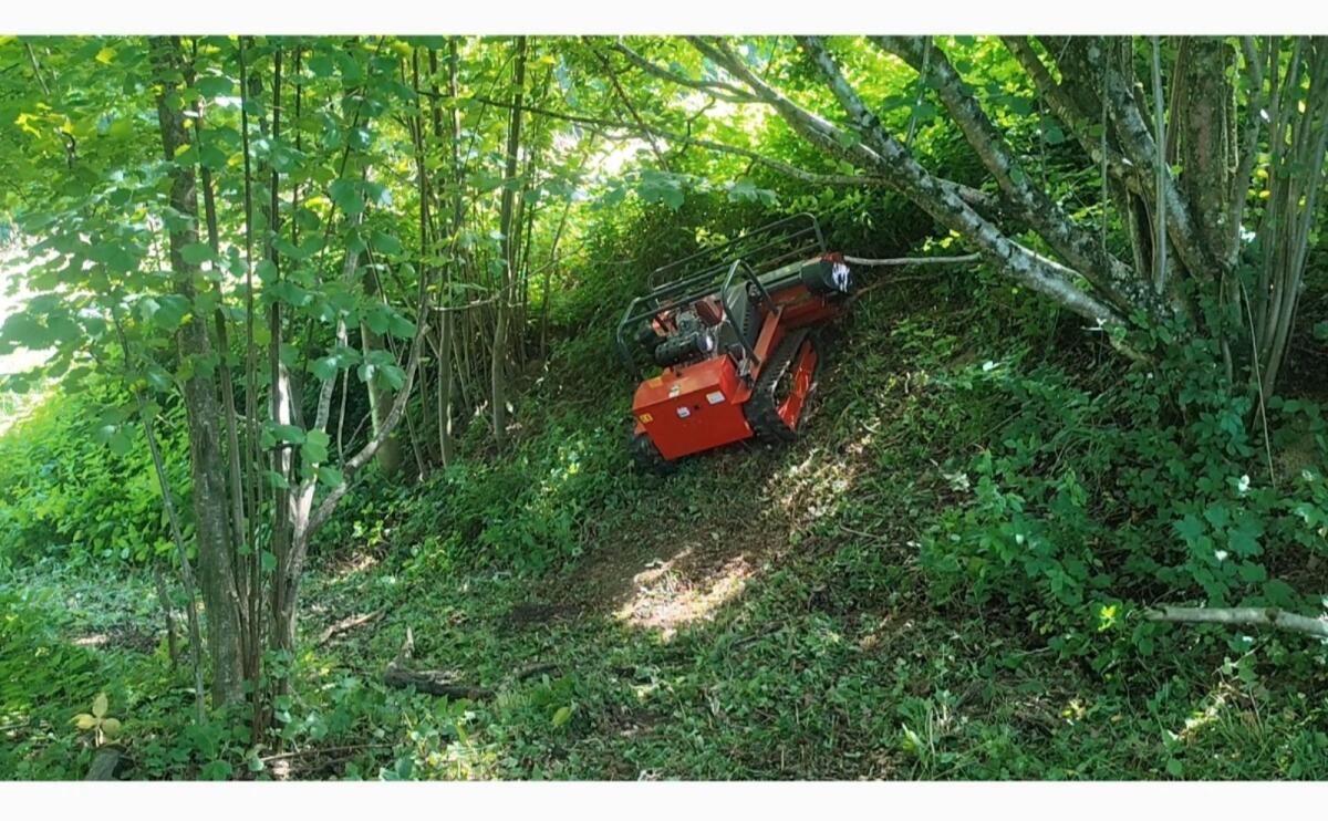 Ferngesteuerter Mulcher 2