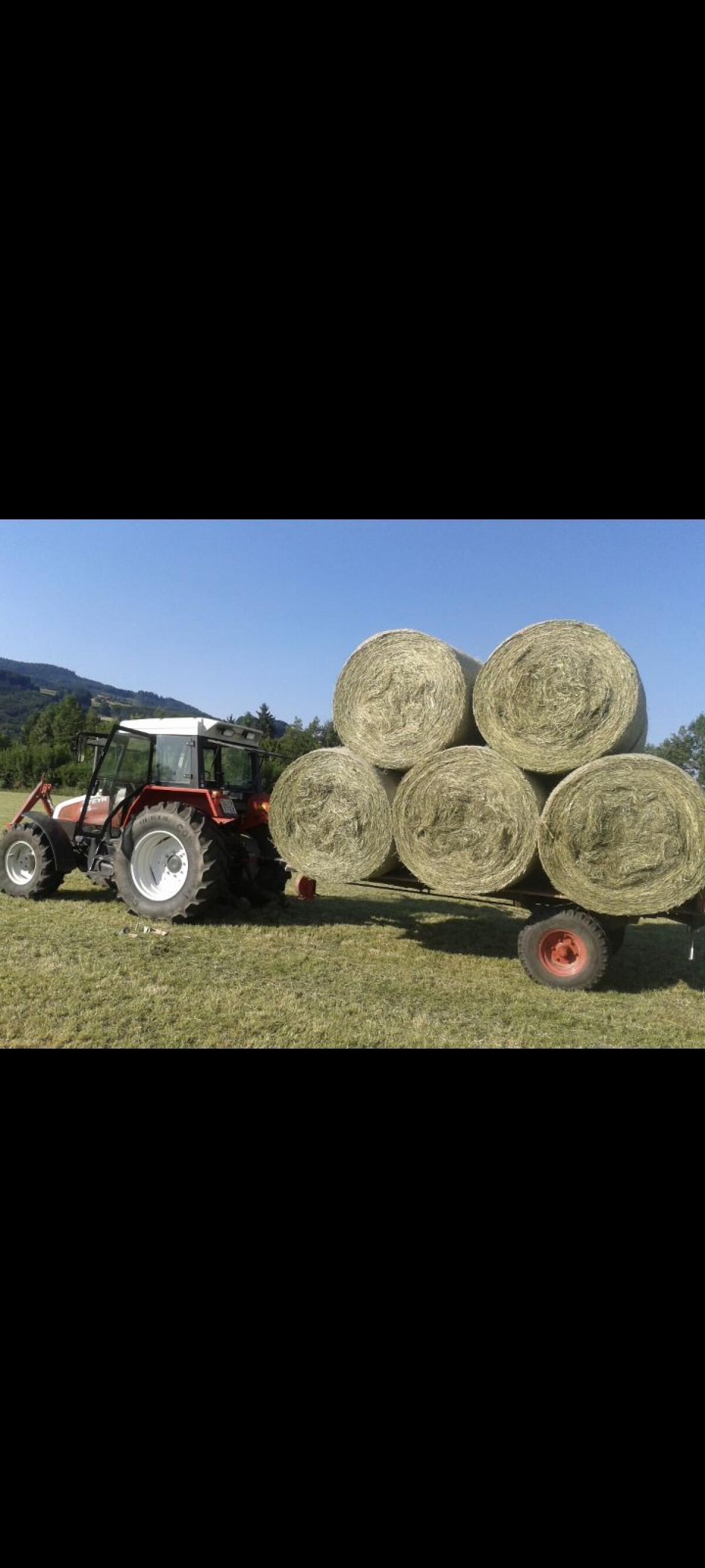 Rundballen Top Qualität zweiter Schnitt 2