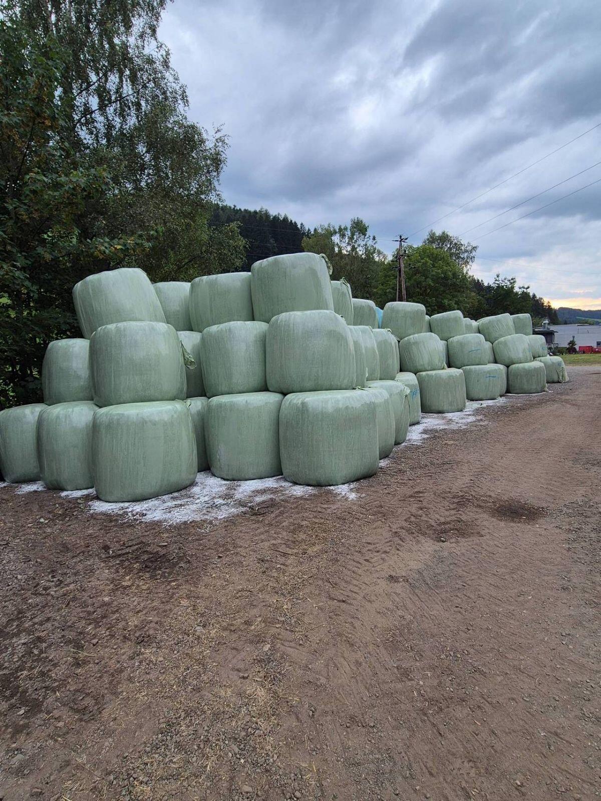 Siloballen für Milchkühe 2025 2