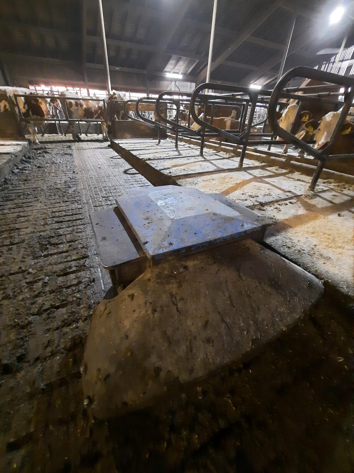 Prinzing Spaltenroboter Pribot 3