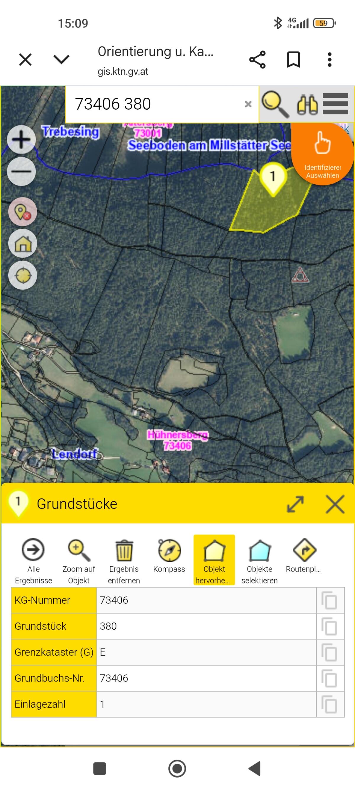 2,65 ha großes Waldgrundstück zu verkaufen 2