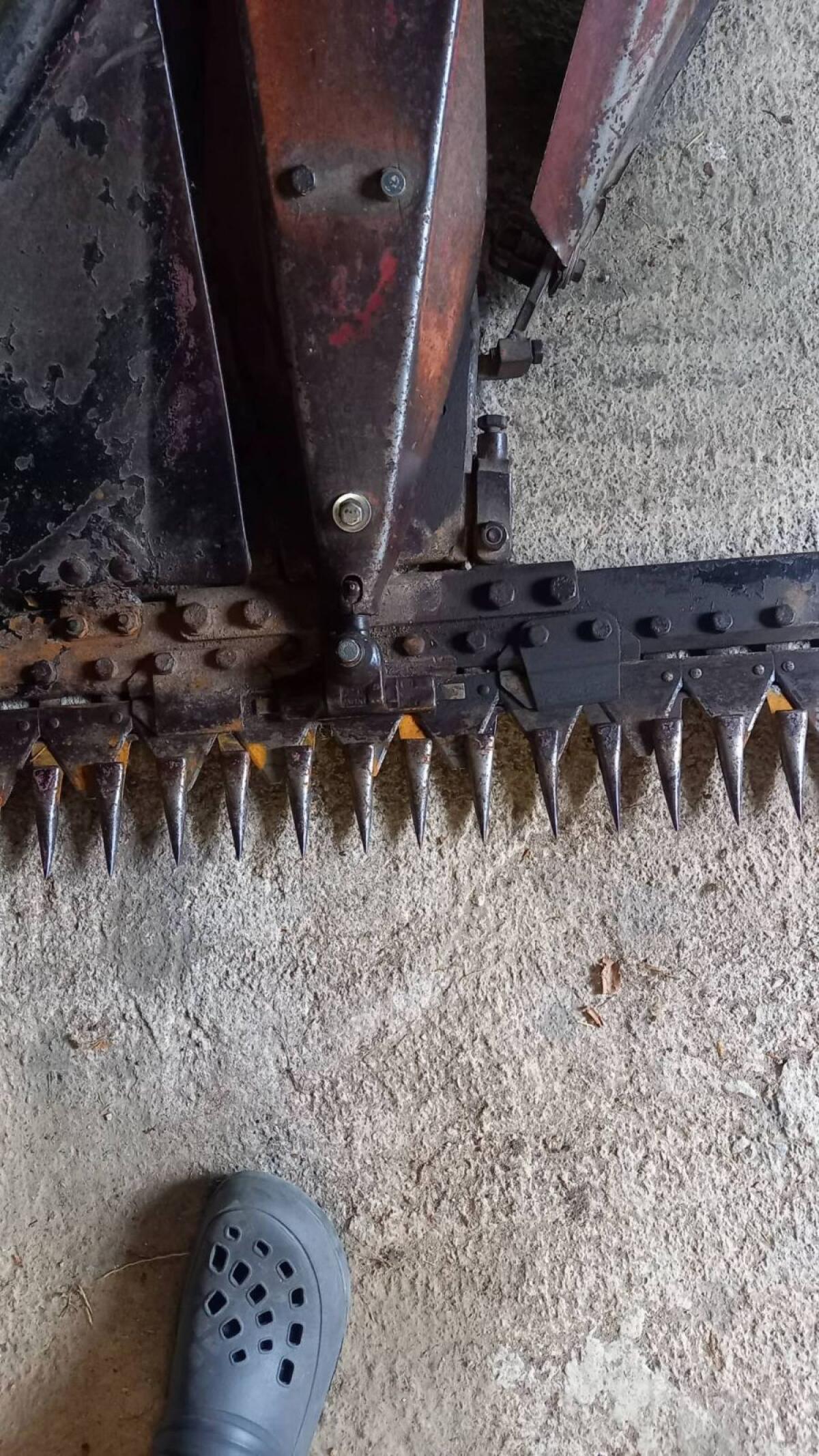 Eingrasmäher Aebi AM 52 3