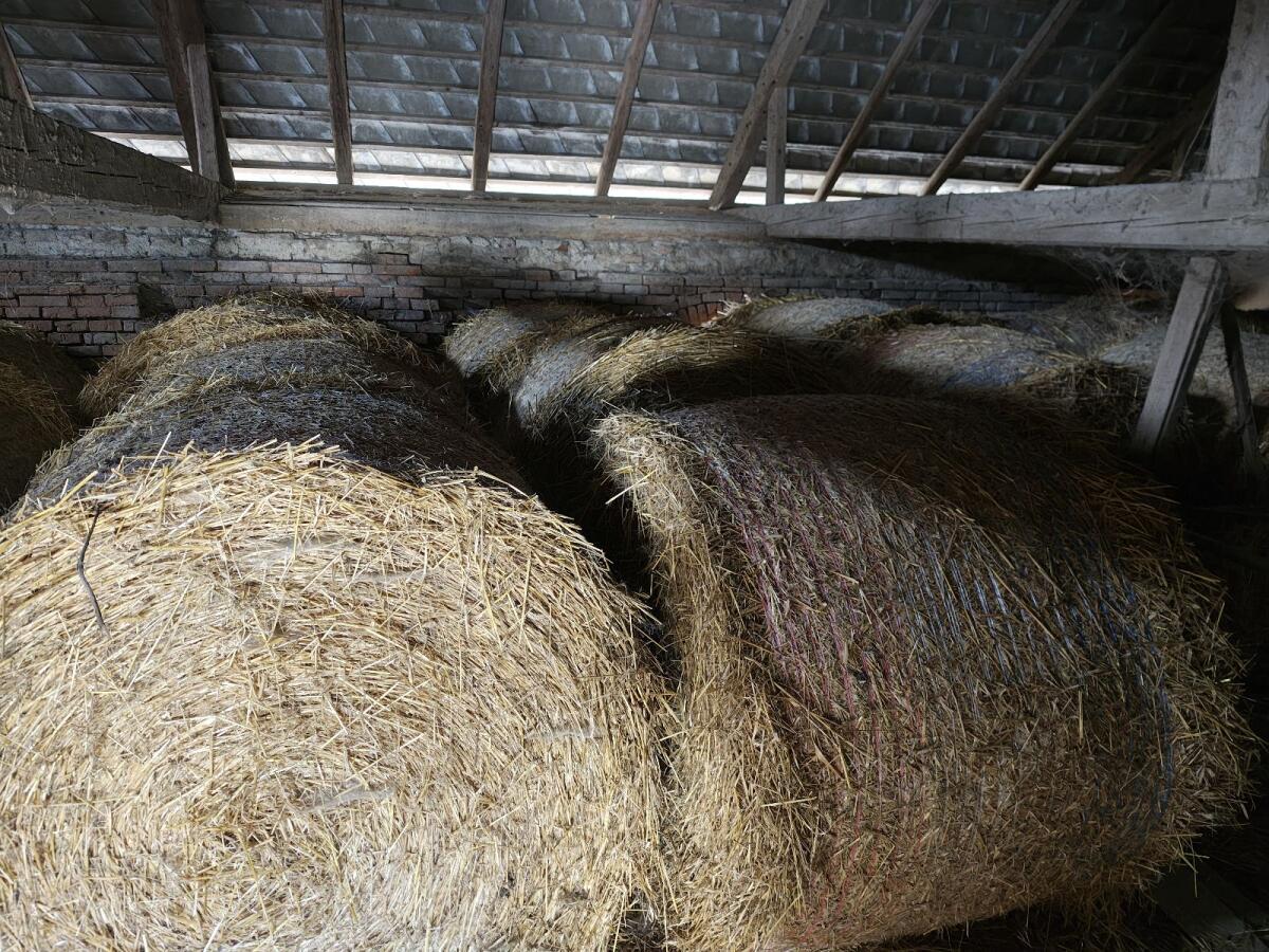 Stroh BIO zertifiziert Top Ware 2