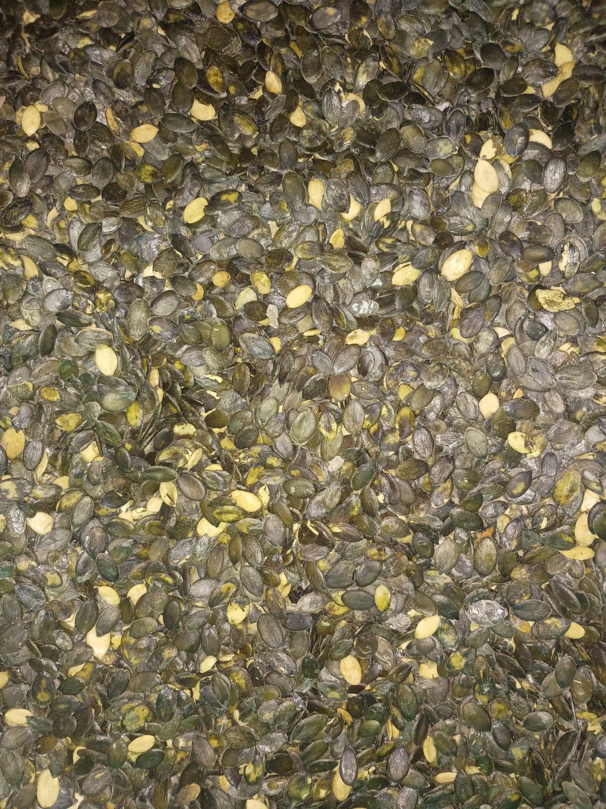 Kürbiskerne Gleisdorfer 2