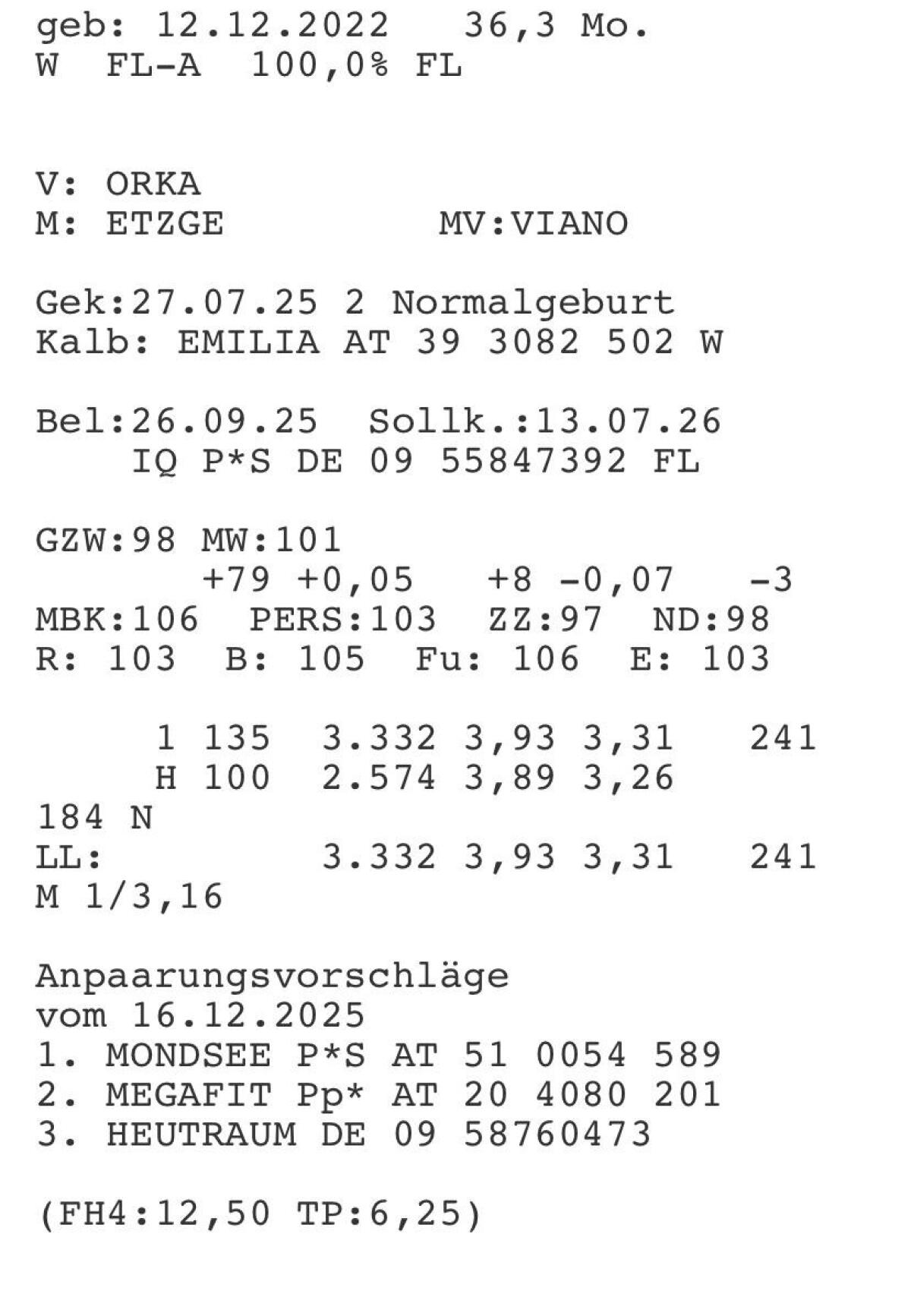 Bio-Fleckvieh Kuh dreistrichig 3