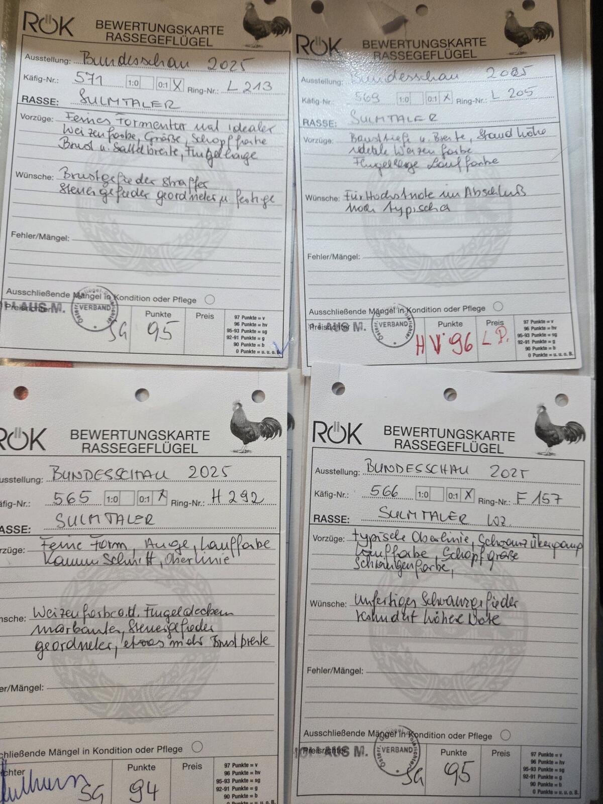 Sulmtaler Bruteier 3