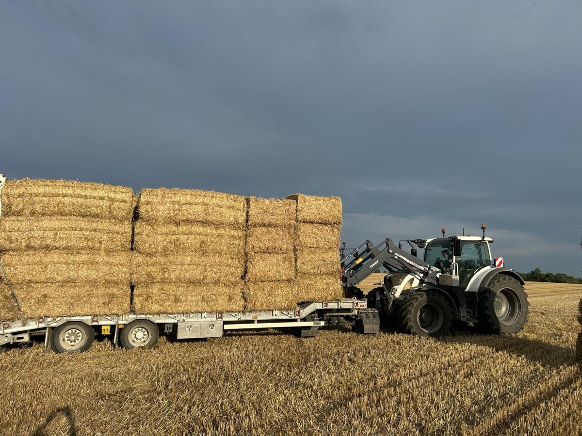 Tausche Heu gegen Stroh 2
