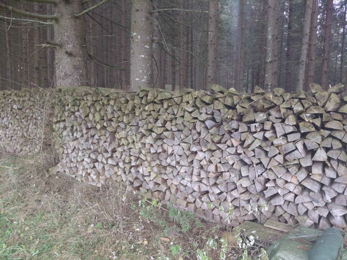 Brennholz Fichte trocken 3