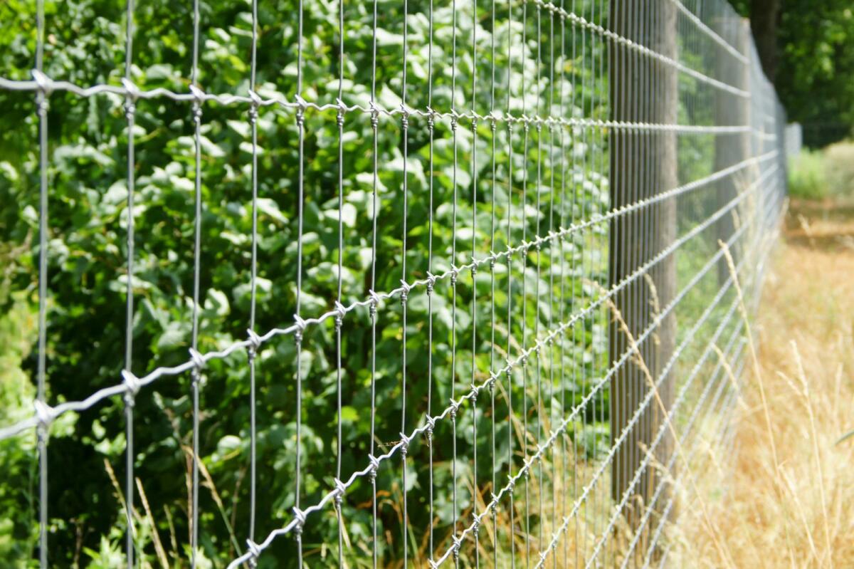 Wildzaun Forstzaun Zaun AKTION 2