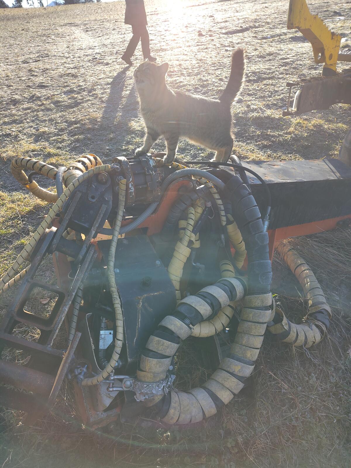 Takeuchi TB295W Mobilbagger 2