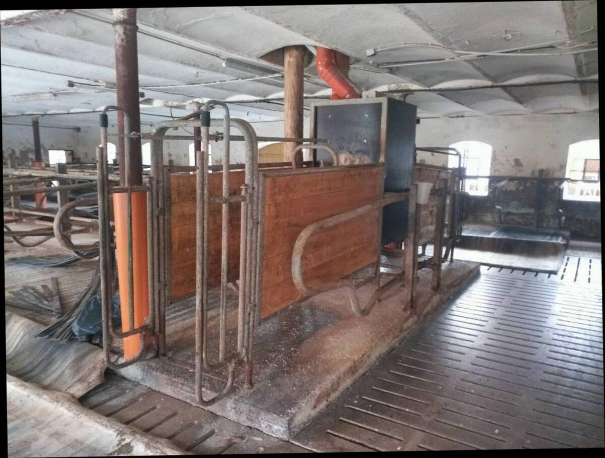 Hetwin Kraftfutterstation 2