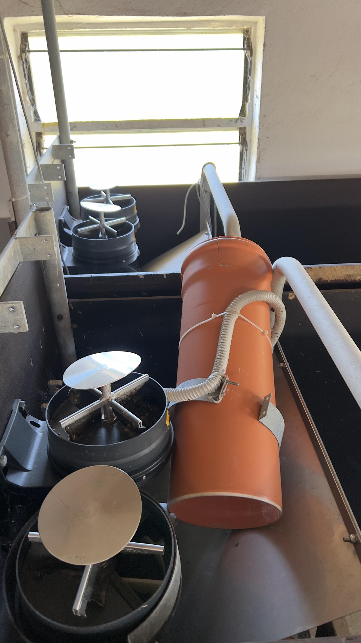 Westfalia Fütterung 2