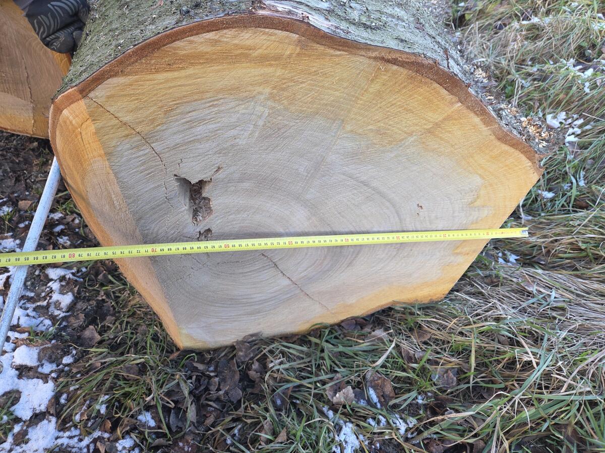 Kirschbaum Kirschholz Wildkirsche 2