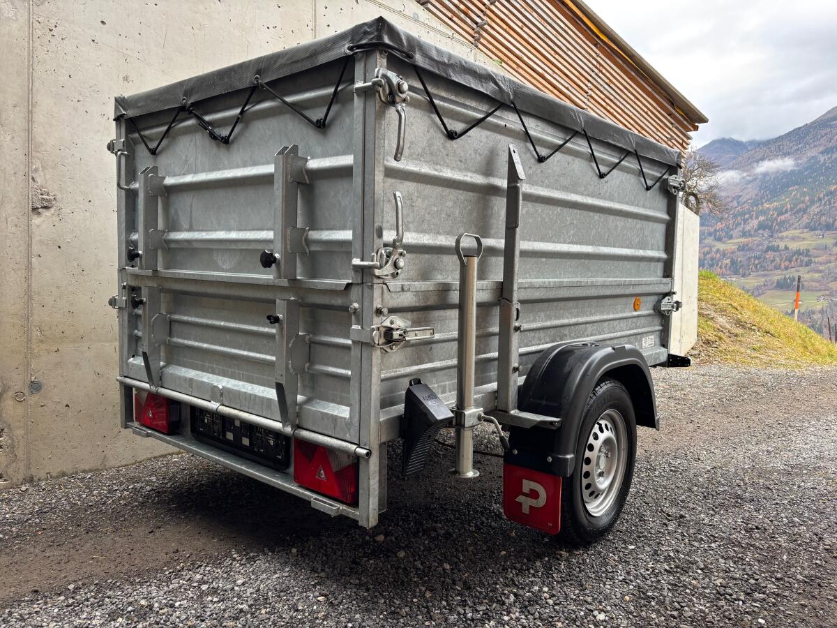 Pongratz EPA 206/12 G-RS-STK 2