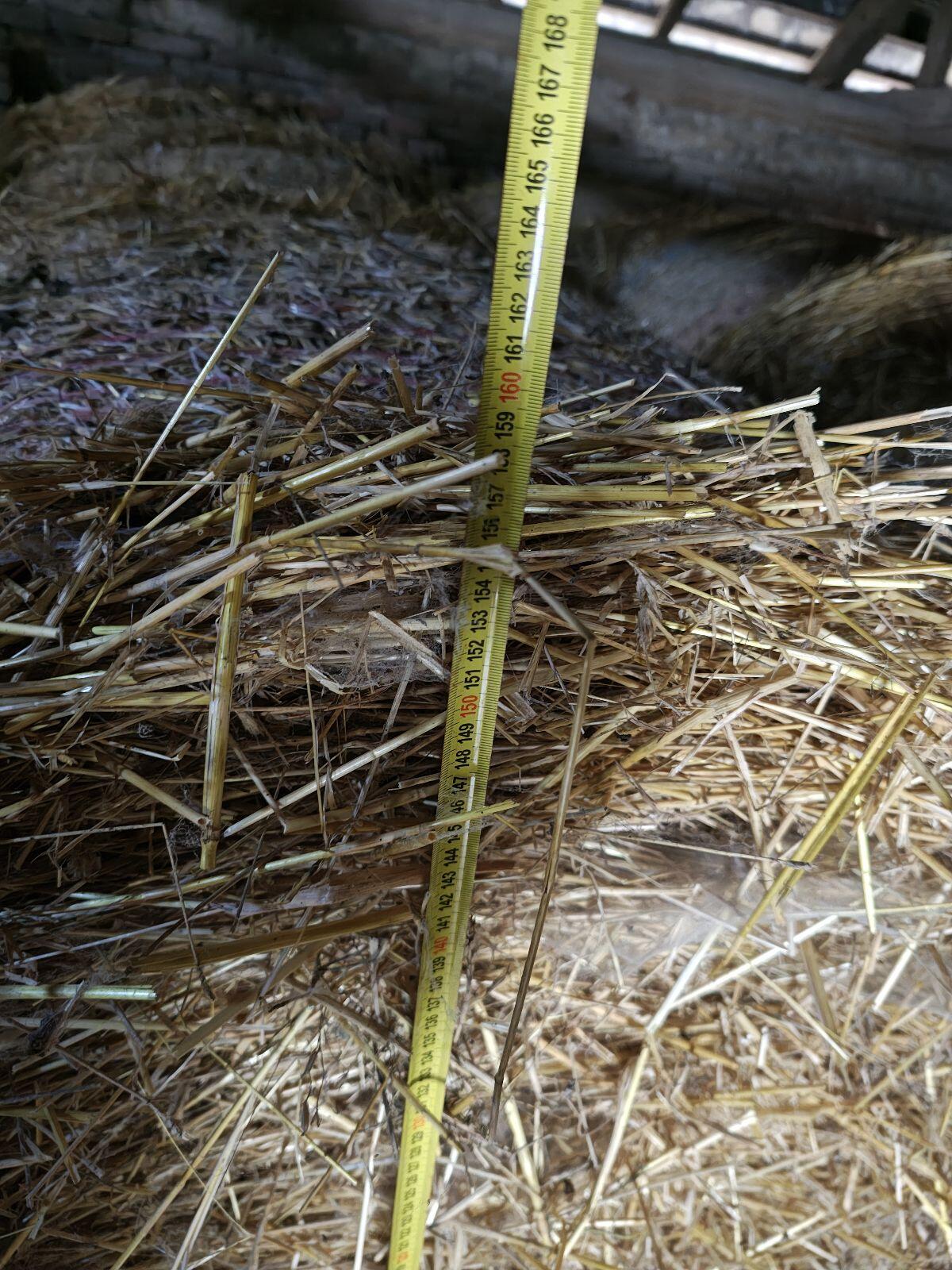 Stroh BIO zertifiziert Top Ware 3