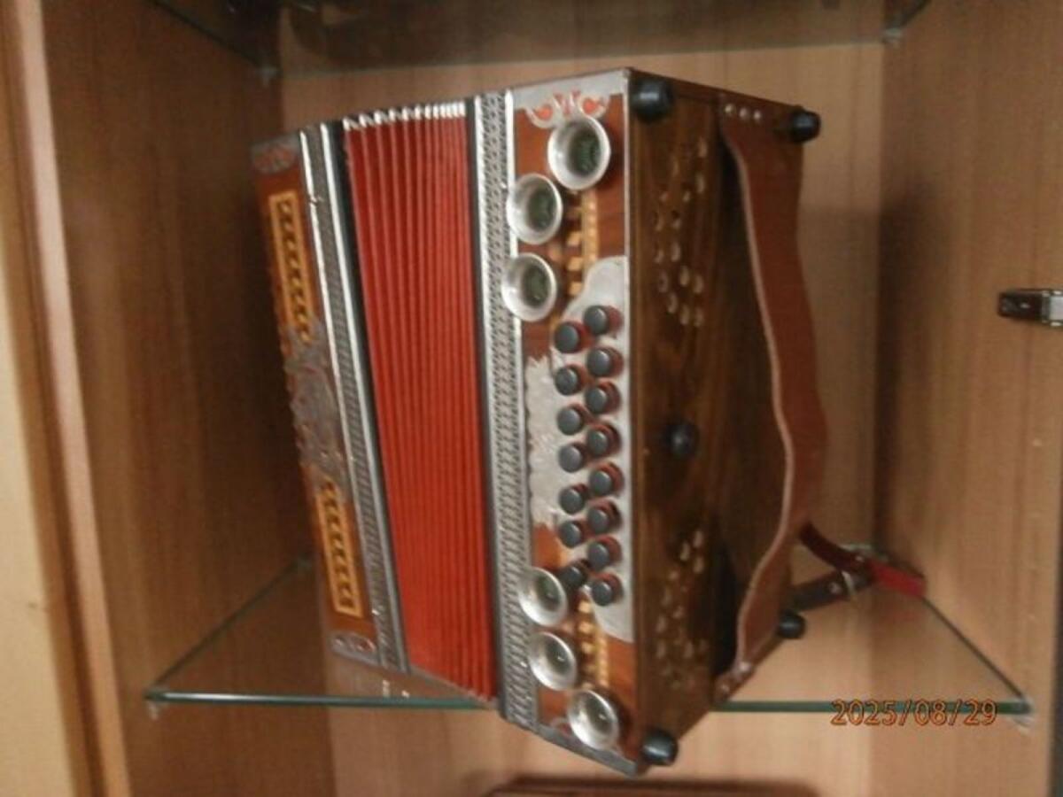 Kärntnerland Harmonika 3