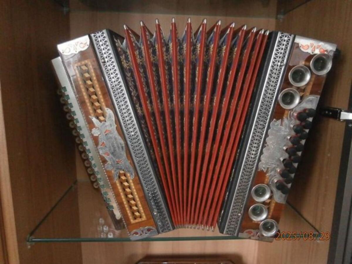 Kärntnerland Harmonika 2