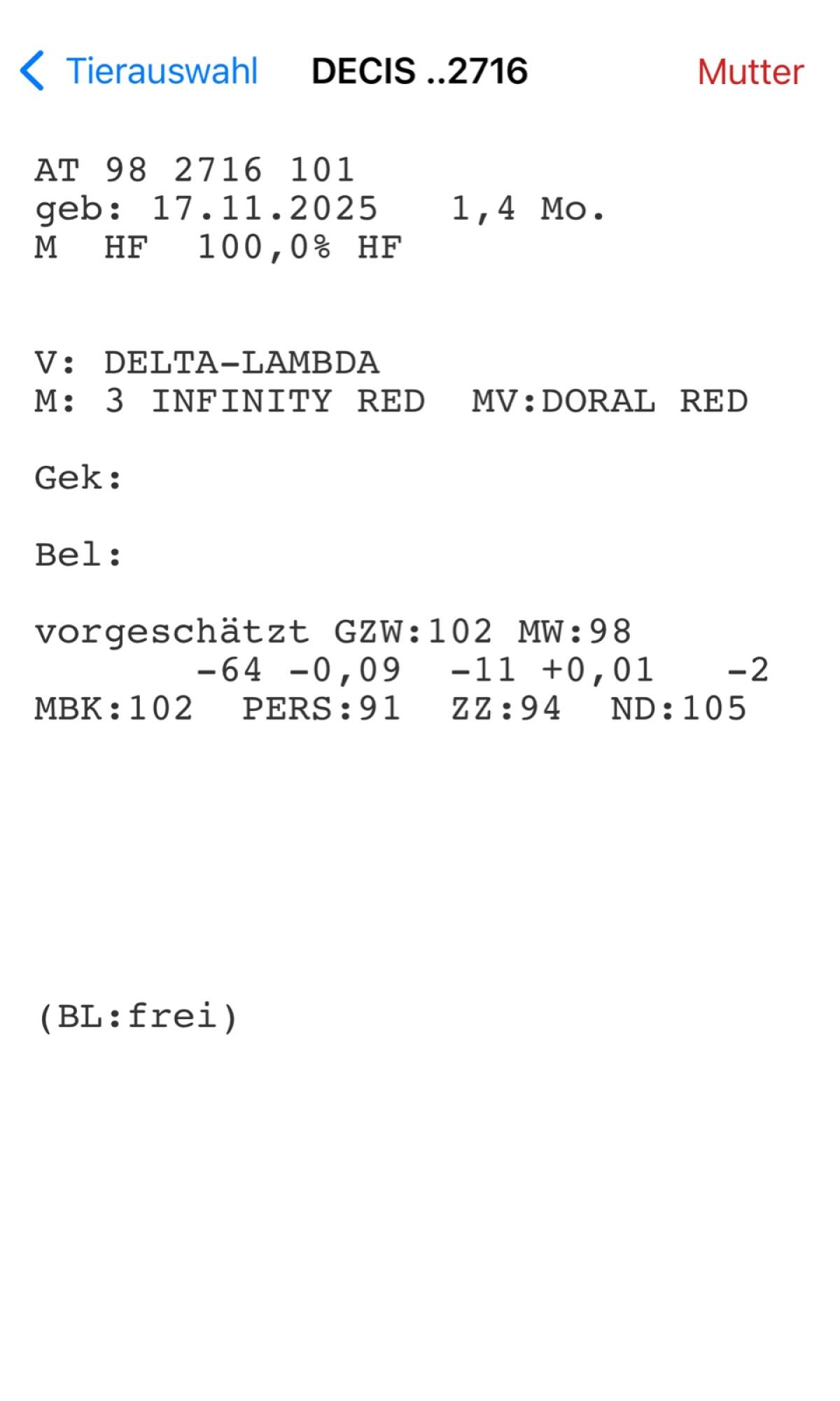 HF (Zucht-) Stierkalb 2