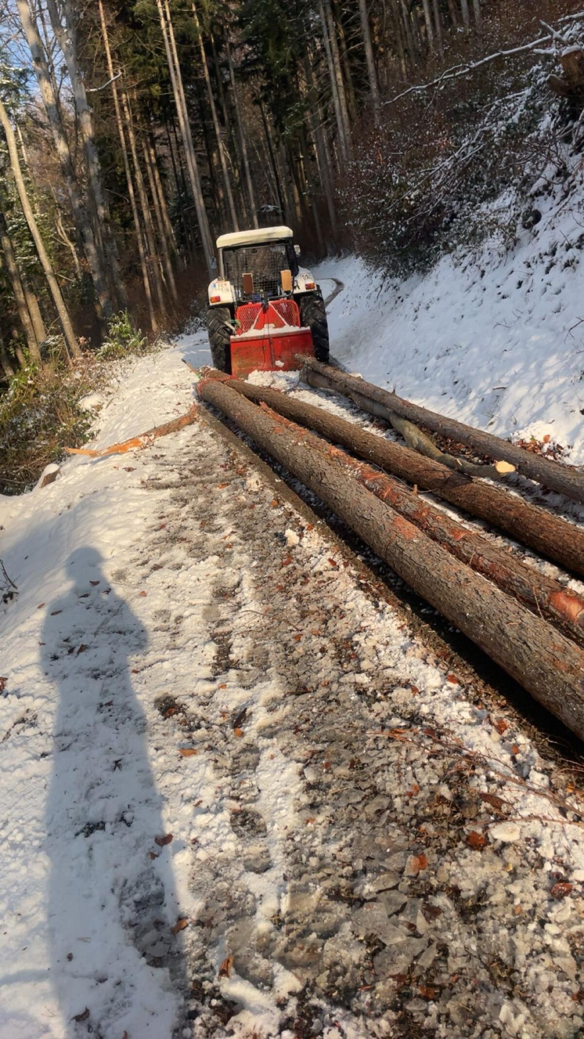 Forst- und Gartenarbeiten Durchforstung, Bodenzug, Heckenpflege 2