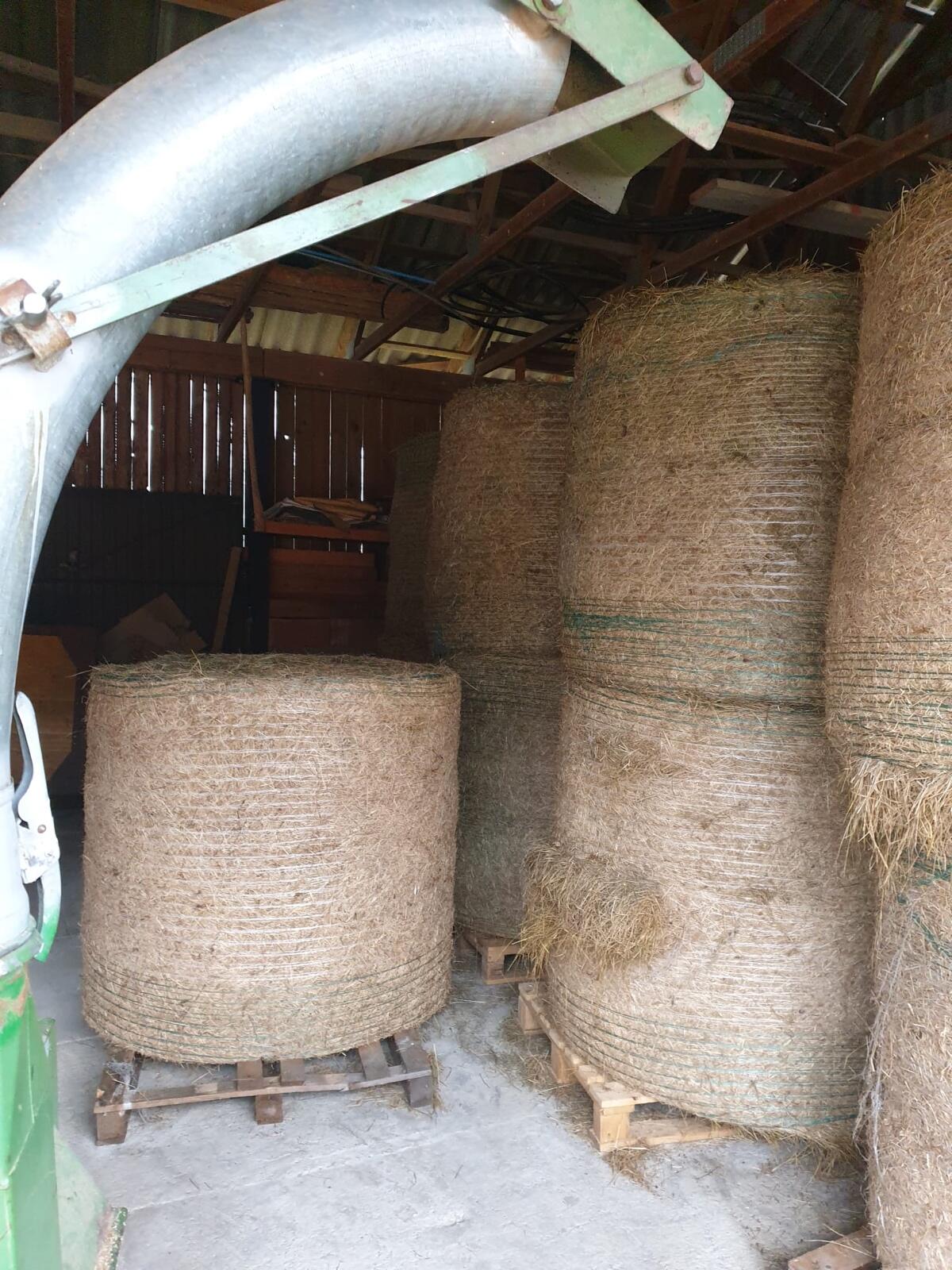 Trockenballen aus 2. Schnitt 2