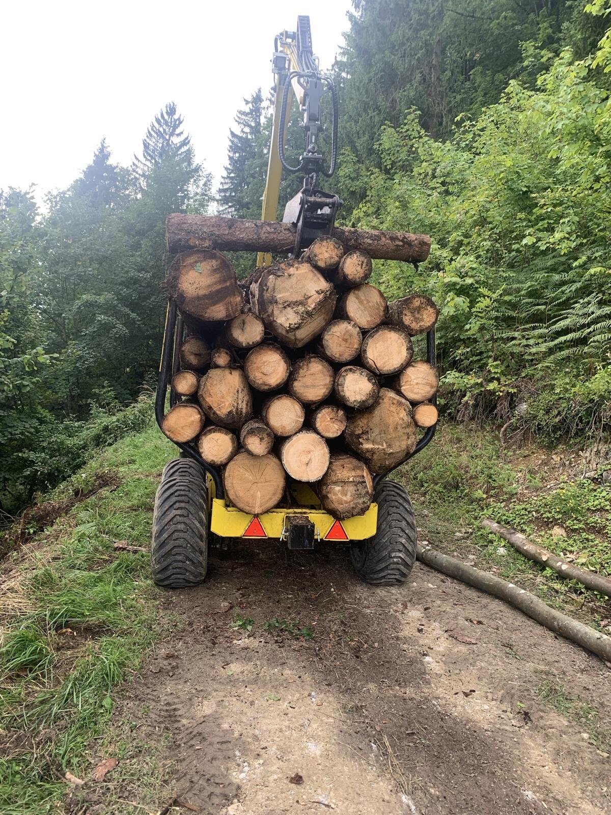 Holzschlägerung und Bringung mit Krananhänger oder Seilwinde 3