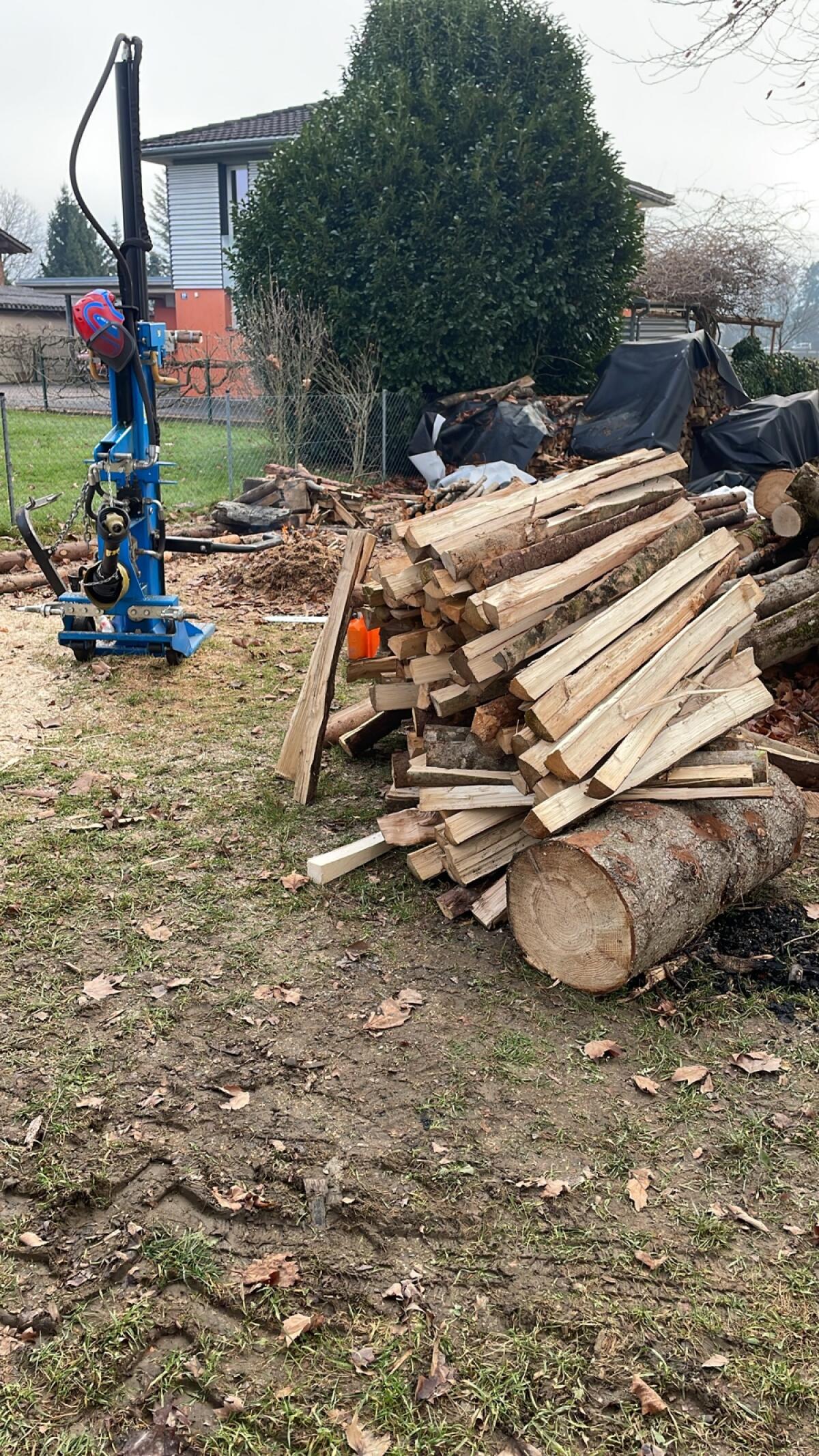 Forst- und Gartenarbeiten Durchforstung, Bodenzug, Heckenpflege 3