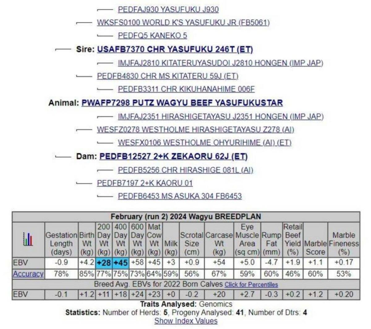 Yasufukustar Samen 3