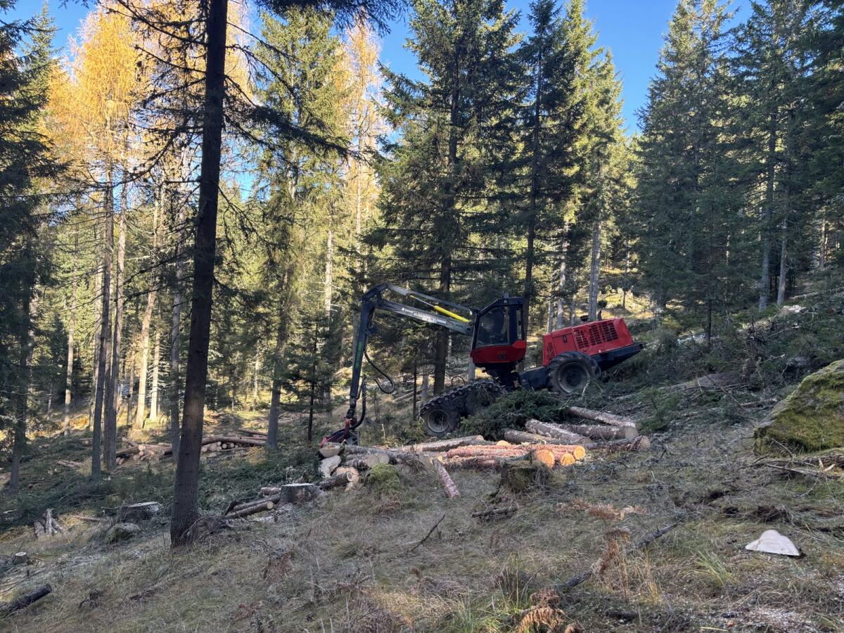 Komatsu/Valmet 911.3 2