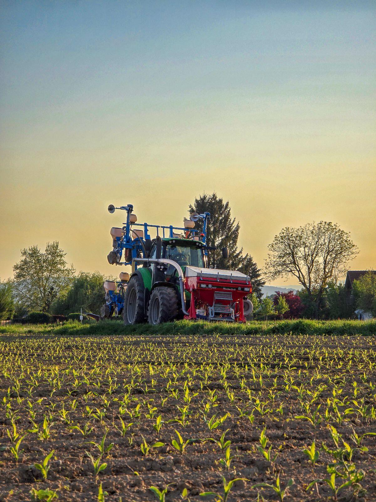 Maisanbau/Einzelkornsaat Monosem NG Plus 4 2