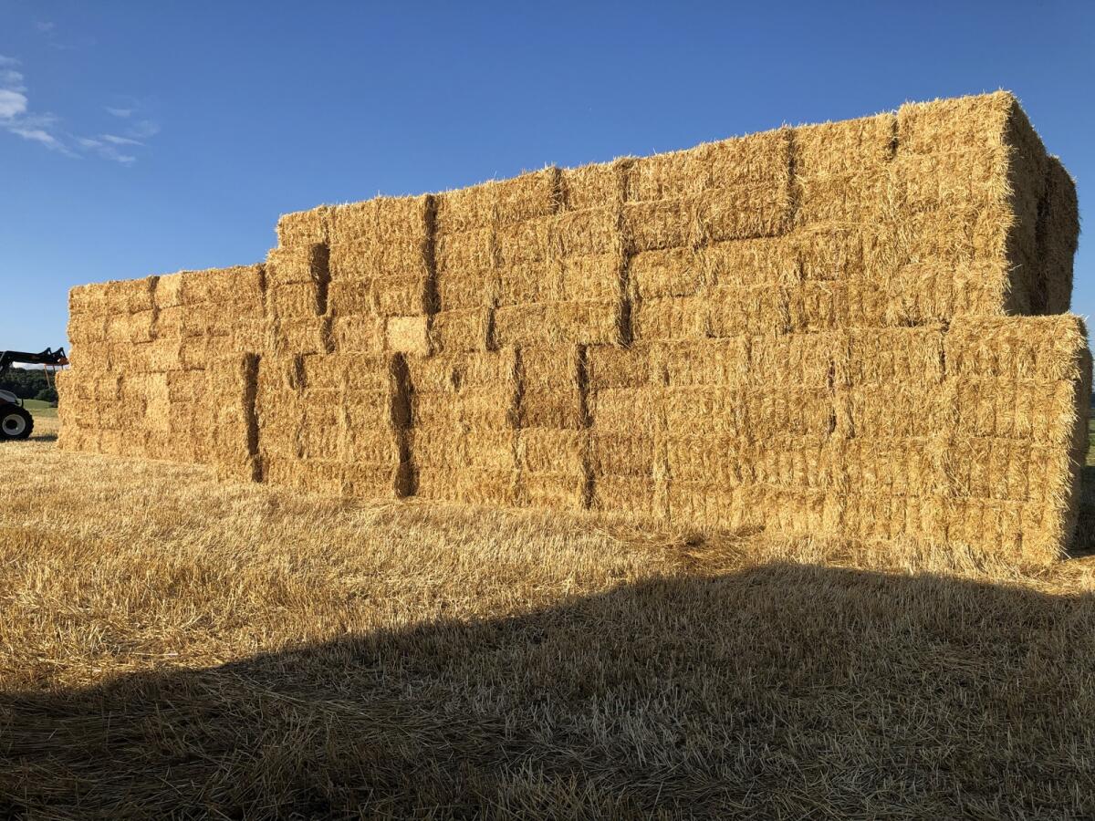 Stroh - In kleinen oder großen Mengen 2