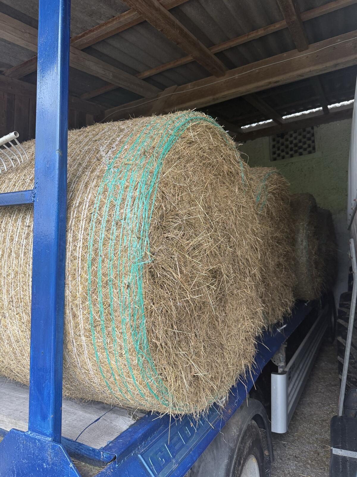 Heu zu verkaufen 2025 2
