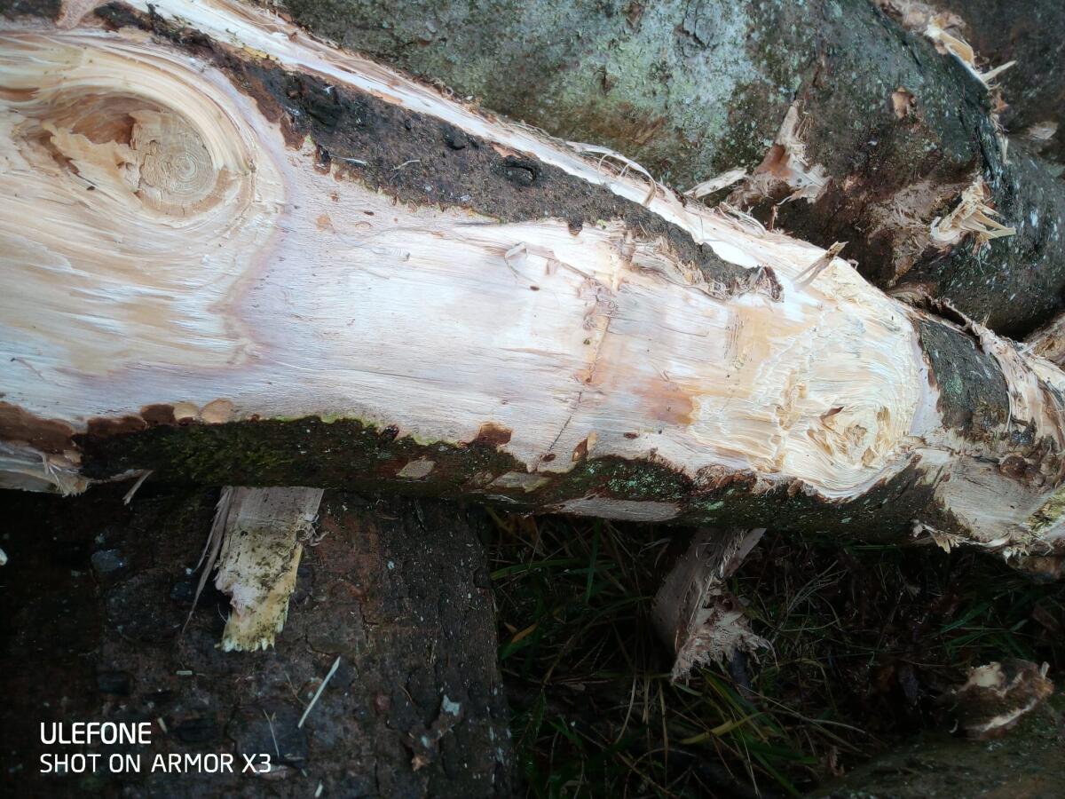 Verkaufe Tapio Schubharvester 600 2