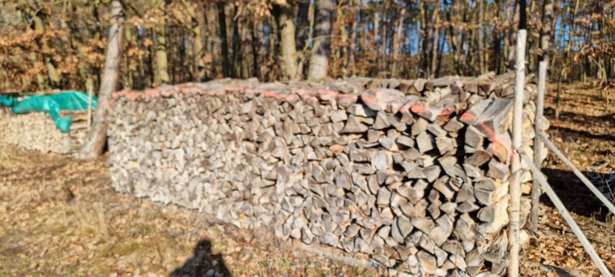 Brennholz, Scheitholz, Buche 2