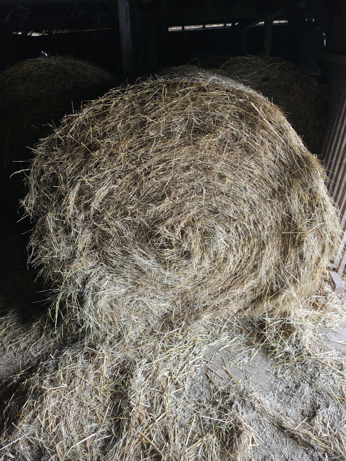 Heu Rundballen 1. Schnitt, BIO zertifiziert, Top Ware 3