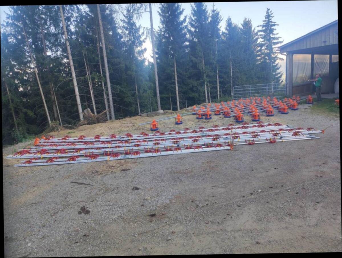 Putenfütterung und Wassertränken 2