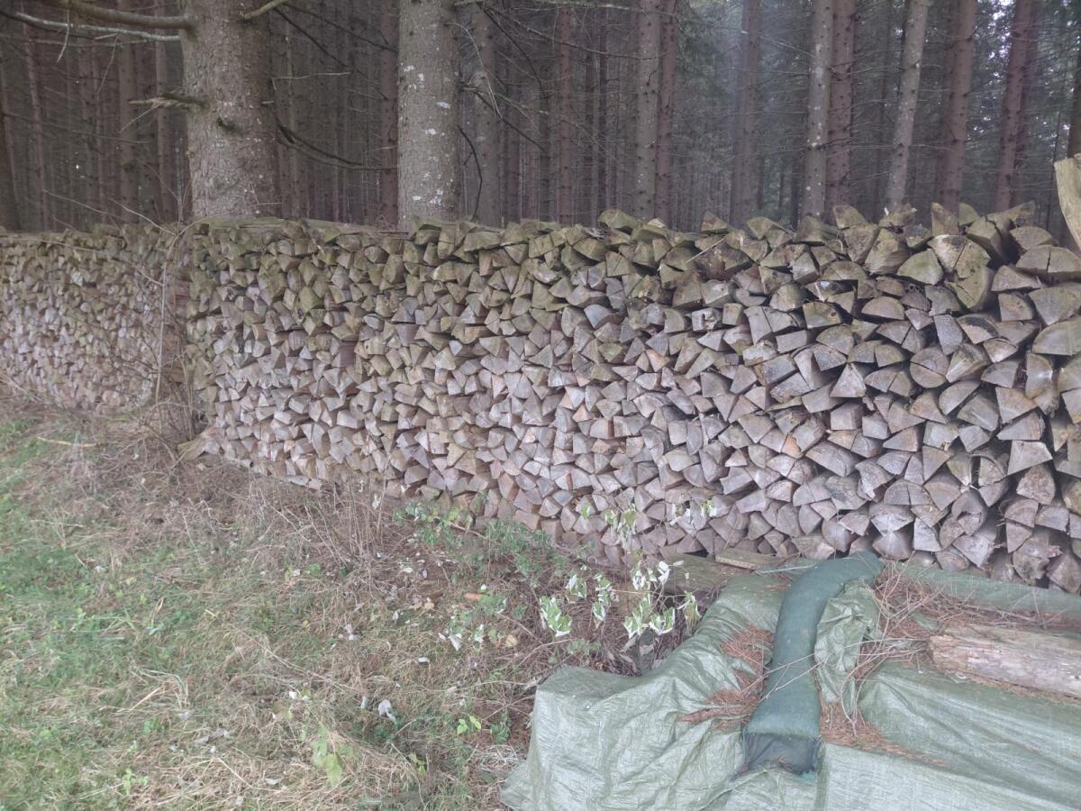 Brennholz Fichte trocken 2