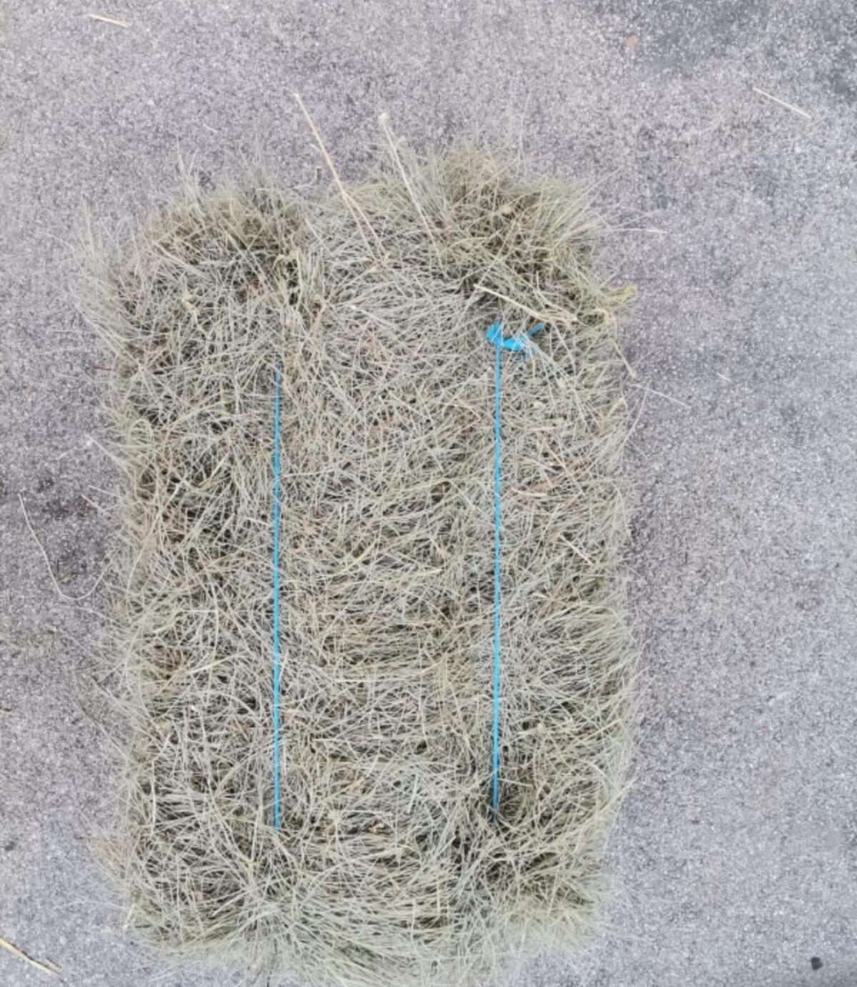 Strohballen und Heuballen 3