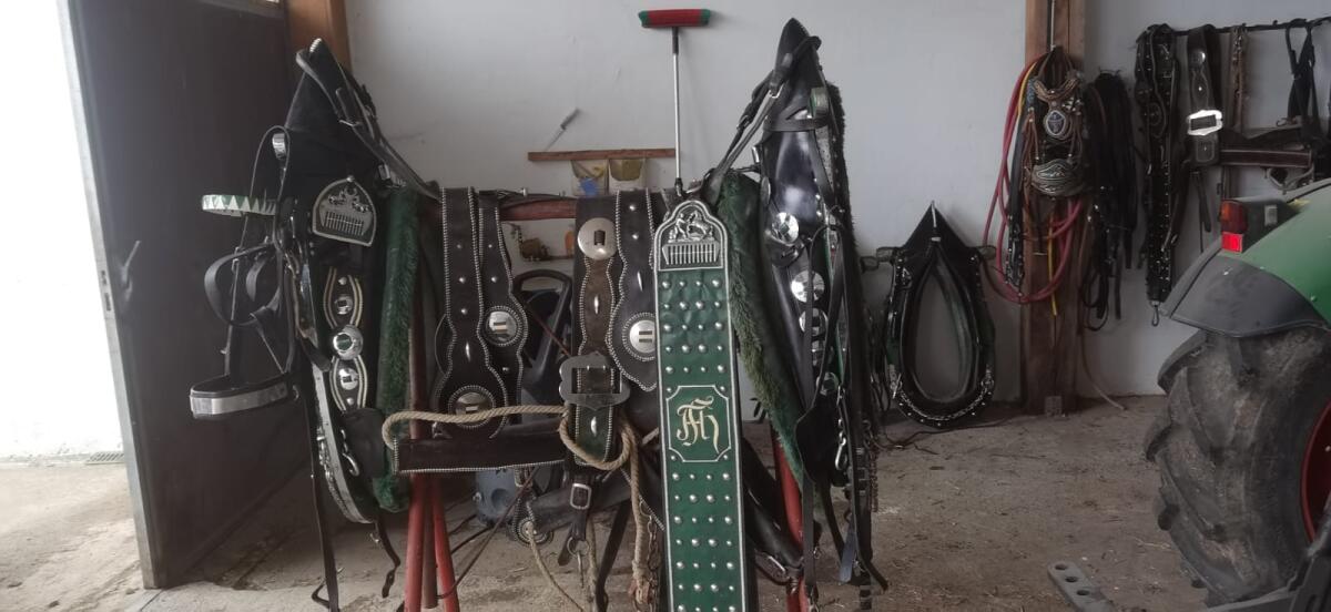 Pferdegeschirr 3
