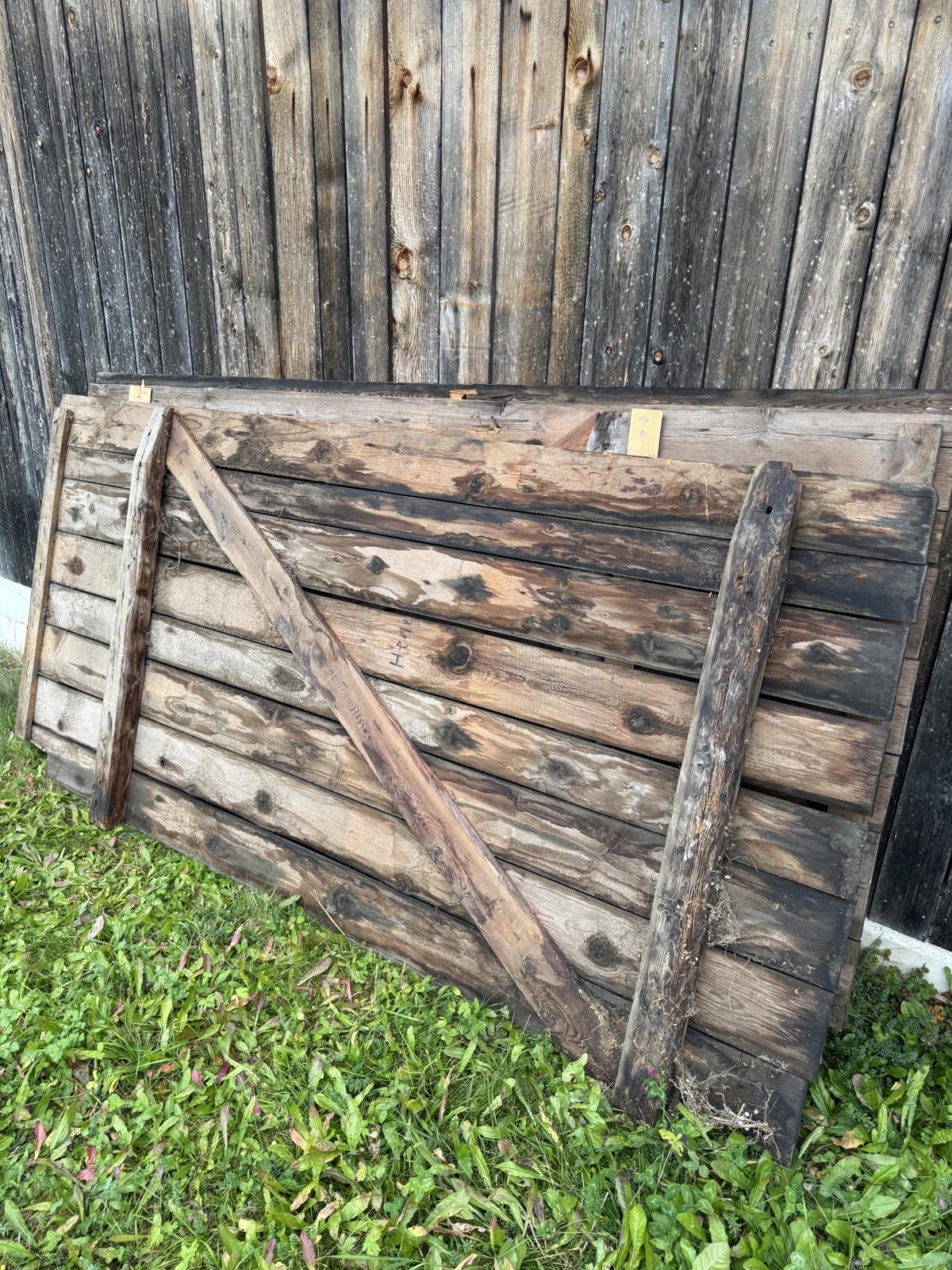 Altholz Lärche Fichte 2