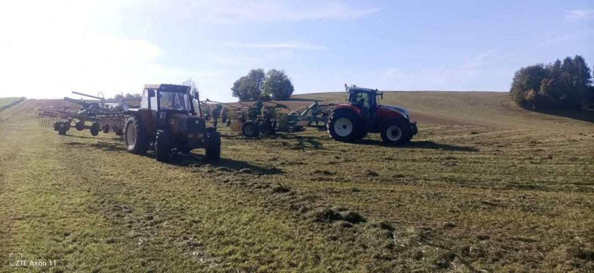 Ich biete Schwader-Arbeiten an, Claas Liner 1650 3