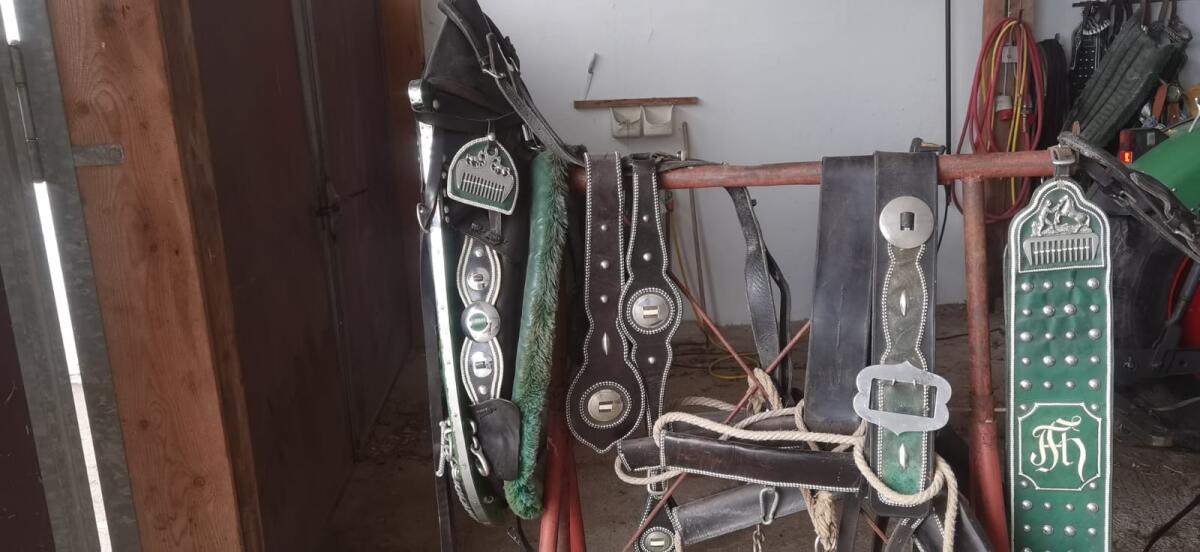 Pferdegeschirr 2