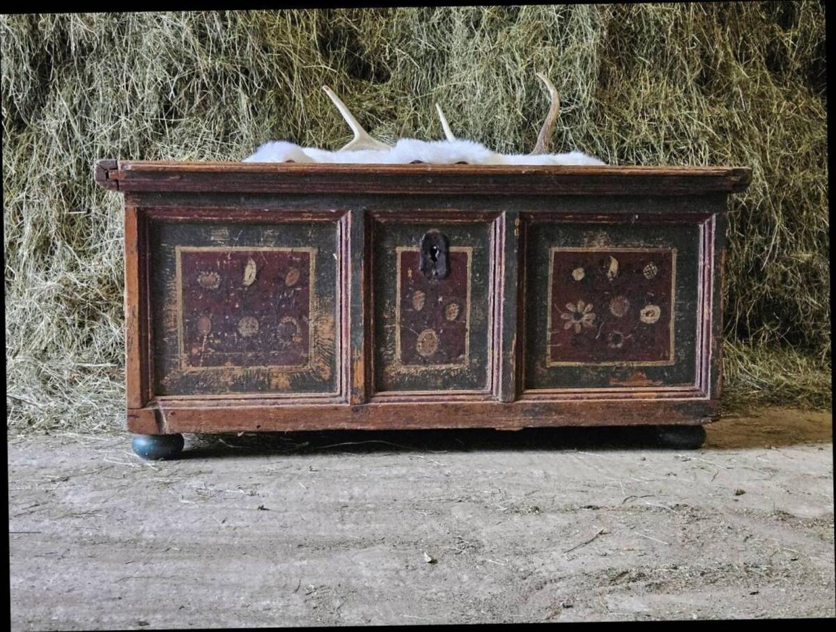 Bauerntruhe 2
